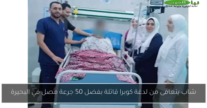 شاب يتعافى من لدغة كوبرا قاتلة بفضل 50 جرعة مصل في البحيرة