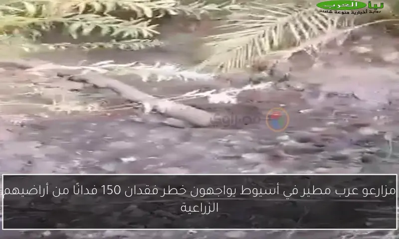 مزارعو عرب مطير في أسيوط يواجهون خطر فقدان 150 فدانًا من أراضيهم الزراعية