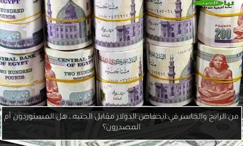 من الرابح والخاسر في انخفاض الدولار مقابل الجنيه.. هل المستوردون أم المصدرون؟