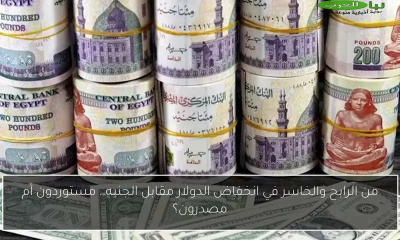 من الرابح والخاسر في انخفاض الدولار مقابل الجنيه.. مستوردون أم مصدرون؟