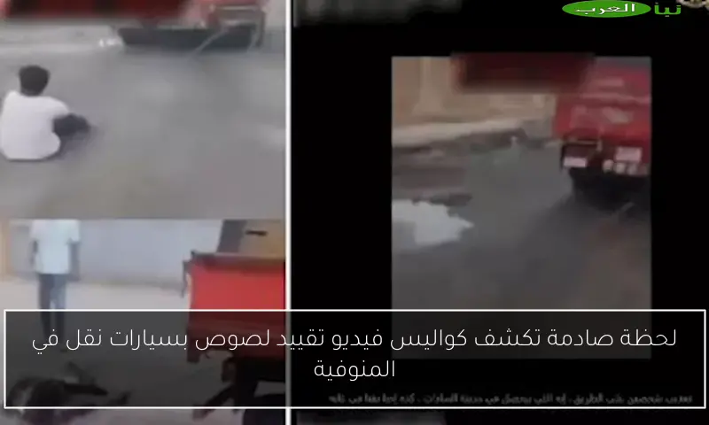 لحظة صادمة تكشف كواليس فيديو تقييد لصوص بسيارات نقل في المنوفية