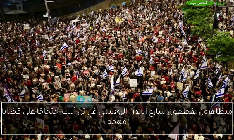 متظاهرون يقطعون شارع أيالون الرئيسي في تل أبيب احتجاجًا على قضايا مهمة