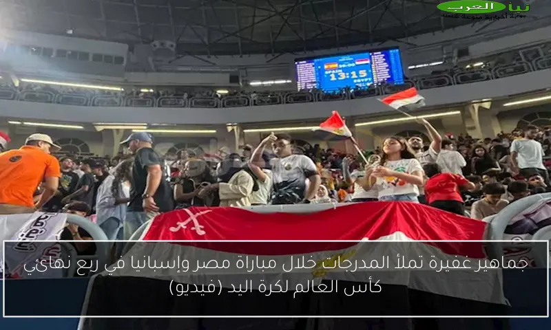 جماهير غفيرة تملأ المدرجات خلال مباراة مصر وإسبانيا في ربع نهائي كأس العالم لكرة اليد (فيديو)