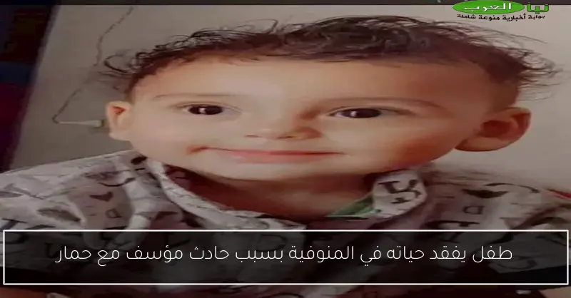 طفل يفقد حياته في المنوفية بسبب حادث مؤسف مع حمار