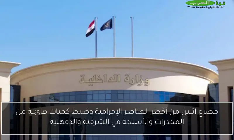 مصرع اثنين من أخطر العناصر الإجرامية وضبط كميات هائلة من المخدرات والأسلحة في الشرقية والدقهلية