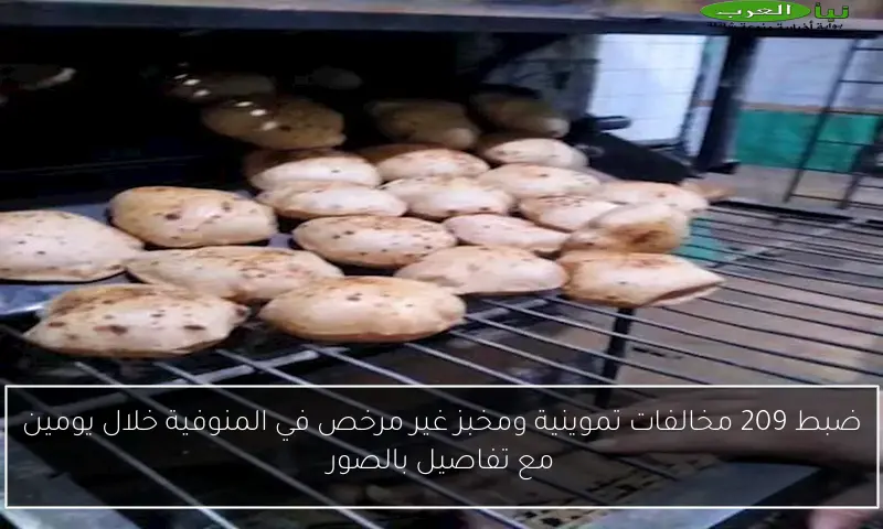 ضبط 209 مخالفات تموينية ومخبز غير مرخص في المنوفية خلال يومين مع تفاصيل بالصور
