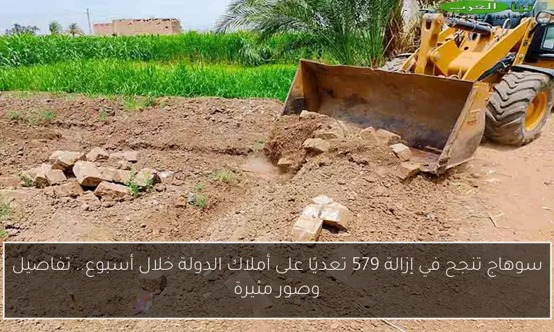 سوهاج تنجح في إزالة 579 تعديًا على أملاك الدولة خلال أسبوع.. تفاصيل وصور مثيرة
