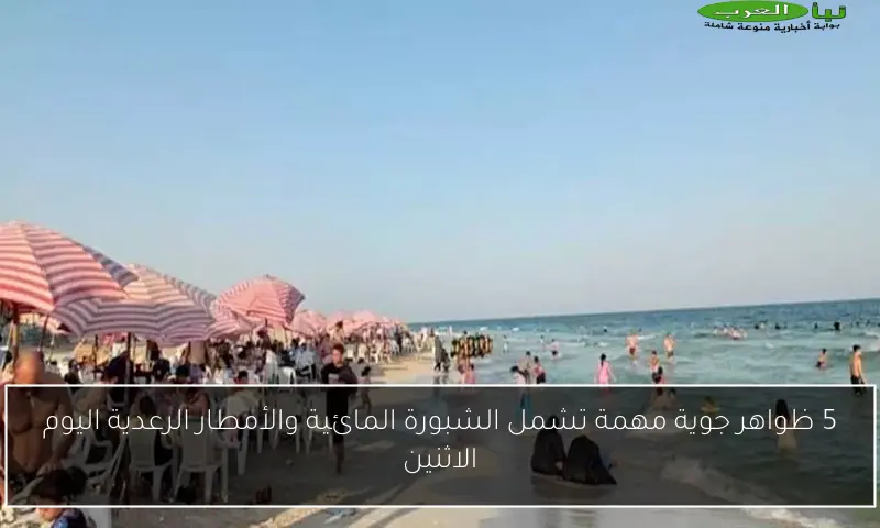5 ظواهر جوية مهمة تشمل الشبورة المائية والأمطار الرعدية اليوم الاثنين