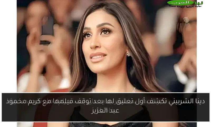 دينا الشربيني تكشف أول تعليق لها بعد توقف فيلمها مع كريم محمود عبد العزيز