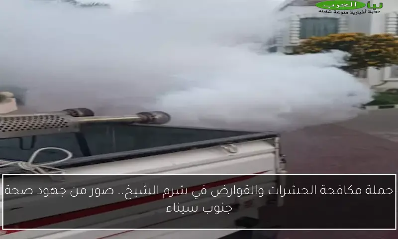 حملة مكافحة الحشرات والقوارض في شرم الشيخ.. صور من جهود صحة جنوب سيناء