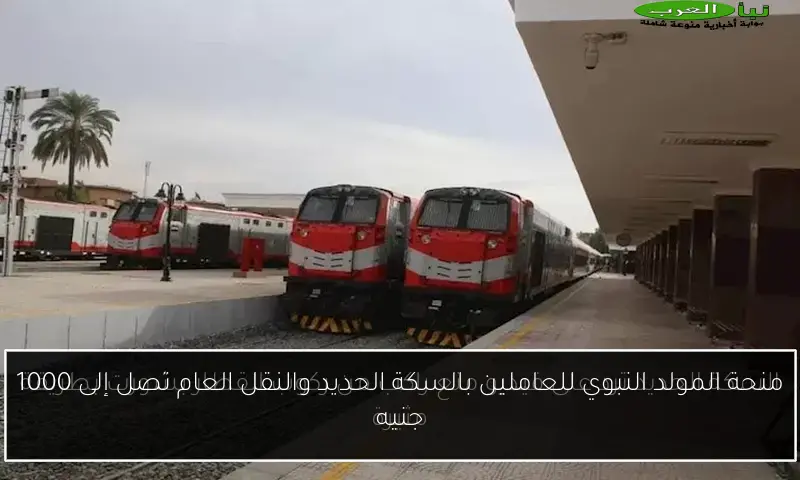 منحة المولد النبوي للعاملين بالسكة الحديد والنقل العام تصل إلى 1000 جنيه