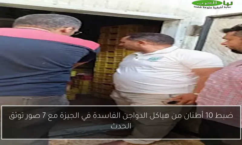 ضبط 10 أطنان من هياكل الدواجن الفاسدة في الجيزة مع 7 صور توثق الحدث
