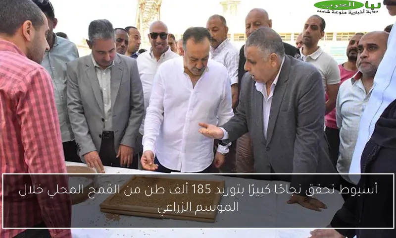 أسيوط تحقق نجاحًا كبيرًا بتوريد 185 ألف طن من القمح المحلي خلال الموسم الزراعي
