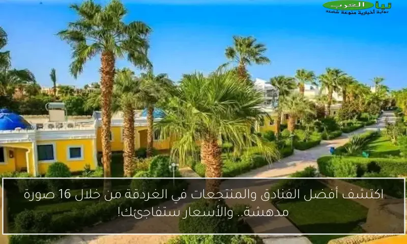 اكتشف أفضل الفنادق والمنتجعات في الغردقة من خلال 16 صورة مدهشة.. والأسعار ستفاجئك!
