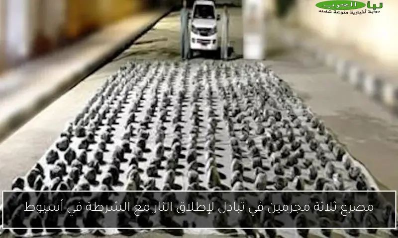 مصرع ثلاثة مجرمين في تبادل لإطلاق النار مع الشرطة في أسيوط