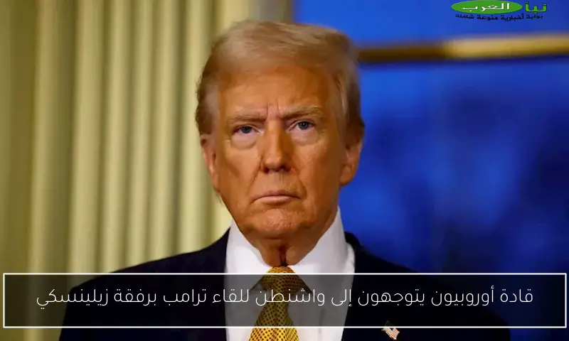قادة أوروبيون يتوجهون إلى واشنطن للقاء ترامب برفقة زيلينسكي
