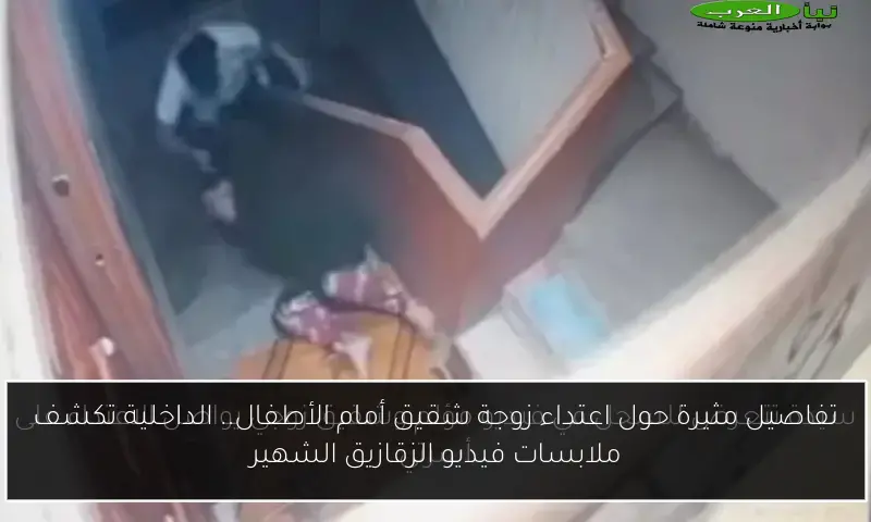 تفاصيل مثيرة حول اعتداء زوجة شقيق أمام الأطفال.. الداخلية تكشف ملابسات فيديو الزقازيق الشهير