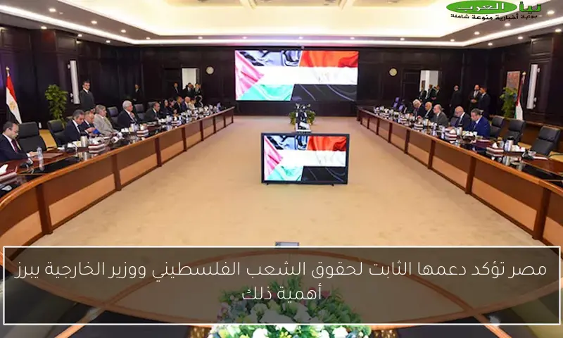 مصر تؤكد دعمها الثابت لحقوق الشعب الفلسطيني ووزير الخارجية يبرز أهمية ذلك