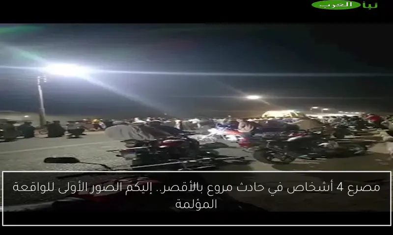 مصرع 4 أشخاص في حادث مروع بالأقصر.. إليكم الصور الأولى للواقعة المؤلمة