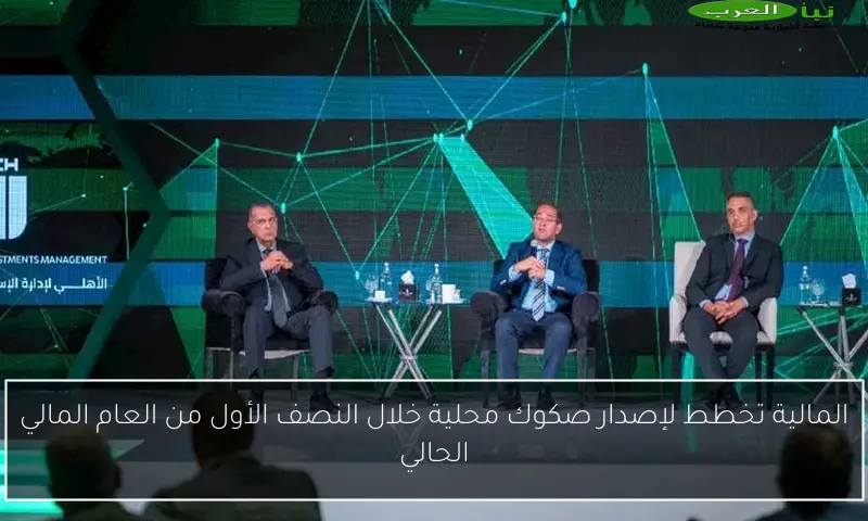المالية تخطط لإصدار صكوك محلية خلال النصف الأول من العام المالي الحالي