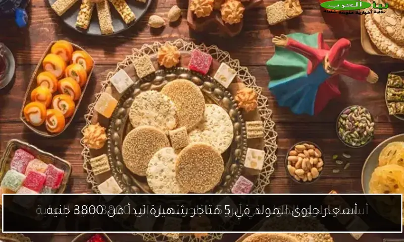 أسعار حلوى المولد في 5 متاجر شهيرة تبدأ من 3800 جنيه