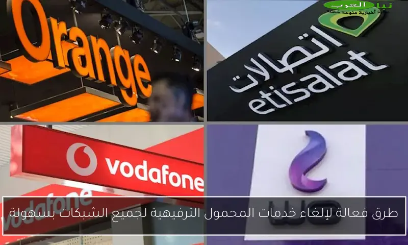 طريقة إلغاء خدمات المحمول الترفيهية لجميع الشبكات بسهولة وفاعلية
