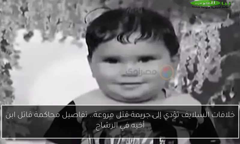 خلافات السلايف تؤدي إلى جريمة قتل مروعة.. تفاصيل محاكمة قاتل ابن أخيه في الرشاح