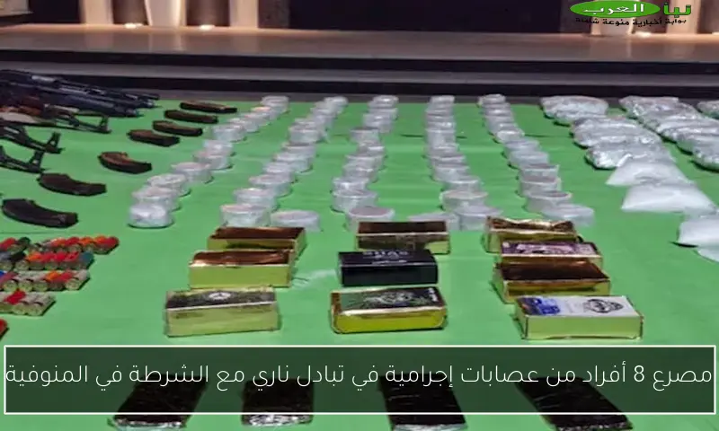 مصرع 8 أفراد من عصابات إجرامية في تبادل ناري مع الشرطة في المنوفية