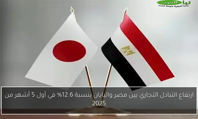 ارتفاع التبادل التجاري بين مصر واليابان بنسبة 12.6% في أول 5 أشهر من 2025