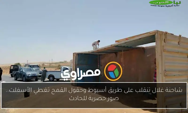 شاحنة غلال تنقلب على طريق أسيوط وحقول القمح تغطي الأسفلت.. صور حصرية للحادث