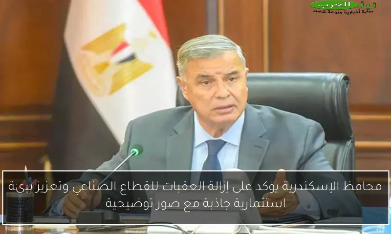 محافظ الإسكندرية يؤكد على إزالة العقبات للقطاع الصناعي وتعزيز بيئة استثمارية جاذبة مع صور توضيحية