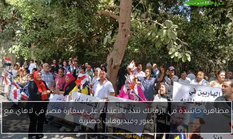 مظاهرة حاشدة في الزمالك تندد بالاعتداء على سفارة مصر في لاهاي مع صور وفيديوهات حصرية