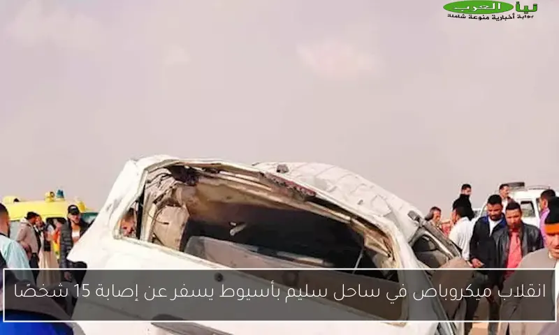 انقلاب ميكروباص في ساحل سليم بأسيوط يسفر عن إصابة 15 شخصًا