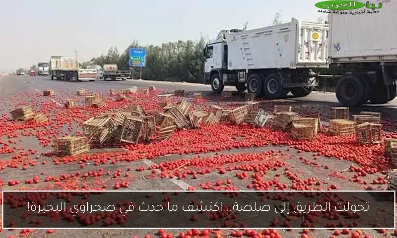 تحولت الطريق إلى صلصة.. اكتشف ما حدث في صحراوي البحيرة!