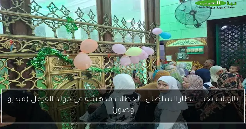 بالونات تحت أنظار السلطان.. لحظات مدهشة في مولد الفرغل (فيديو وصور)