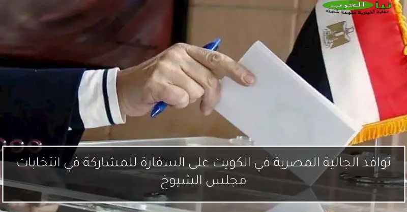 توافد الجالية المصرية في الكويت على السفارة للمشاركة في انتخابات مجلس الشيوخ