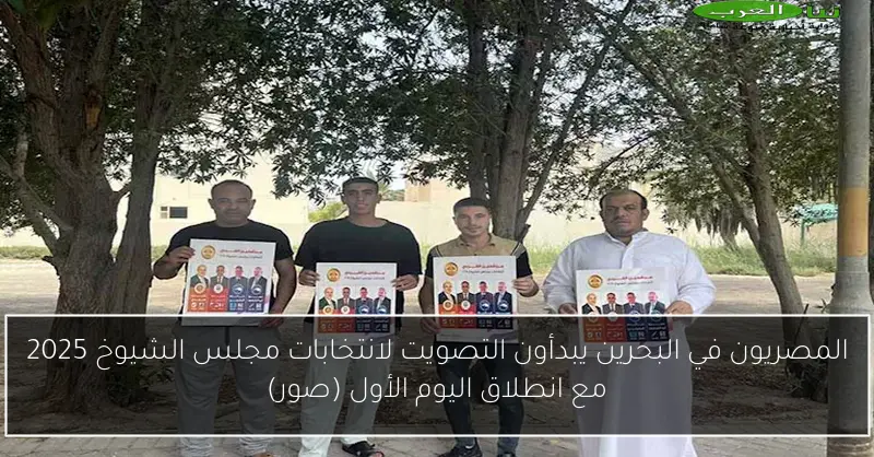 المصريون في البحرين يبدأون التصويت لانتخابات مجلس الشيوخ 2025 مع انطلاق اليوم الأول (صور)