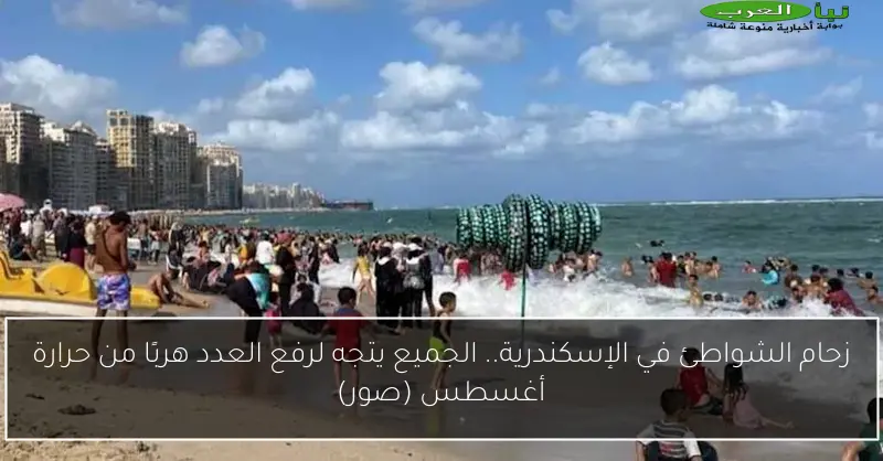 زحام الشواطئ في الإسكندرية.. الجميع يتجه لرفع العدد هربًا من حرارة أغسطس (صور)