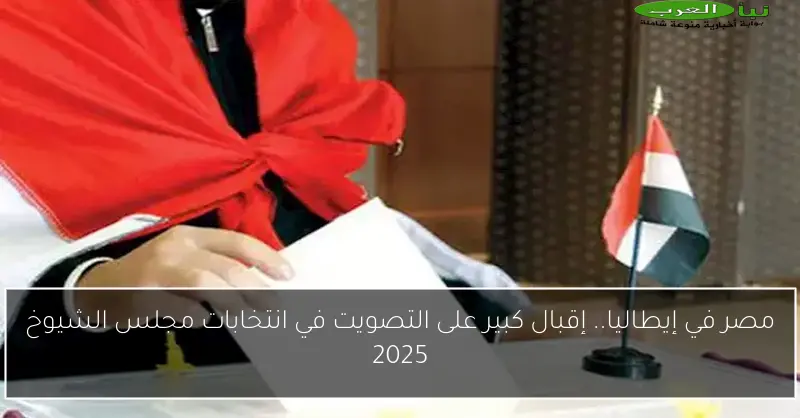 مصر في إيطاليا.. إقبال كبير على التصويت في انتخابات مجلس الشيوخ 2025