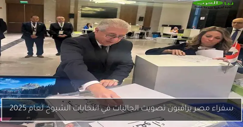 سفراء مصر يراقبون تصويت الجاليات في انتخابات الشيوخ لعام 2025