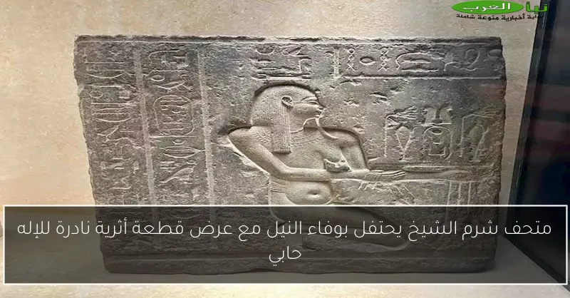 متحف شرم الشيخ يحتفل بوفاء النيل مع عرض قطعة أثرية نادرة للإله حابي