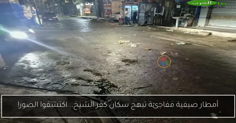 أمطار صيفية مفاجئة تبهج سكان كفر الشيخ.. اكتشفوا الصور!