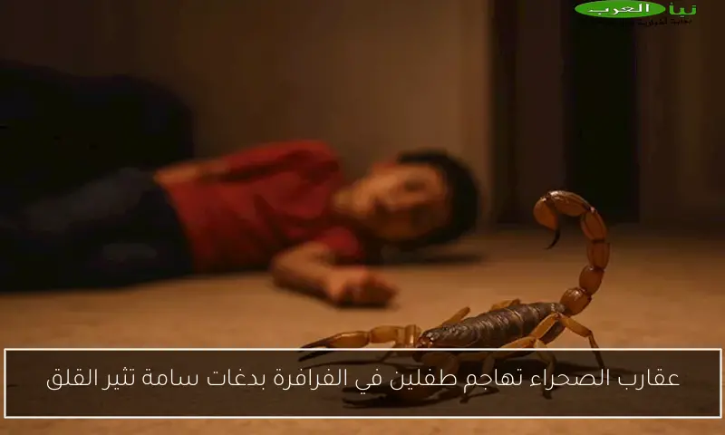 عقارب الصحراء تهاجم طفلين في الفرافرة بدغات سامة تثير القلق
