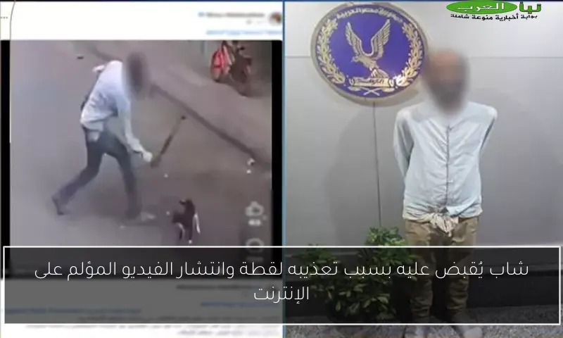 شاب يُقبض عليه بسبب تعذيبه لقطة وانتشار الفيديو المؤلم على الإنترنت