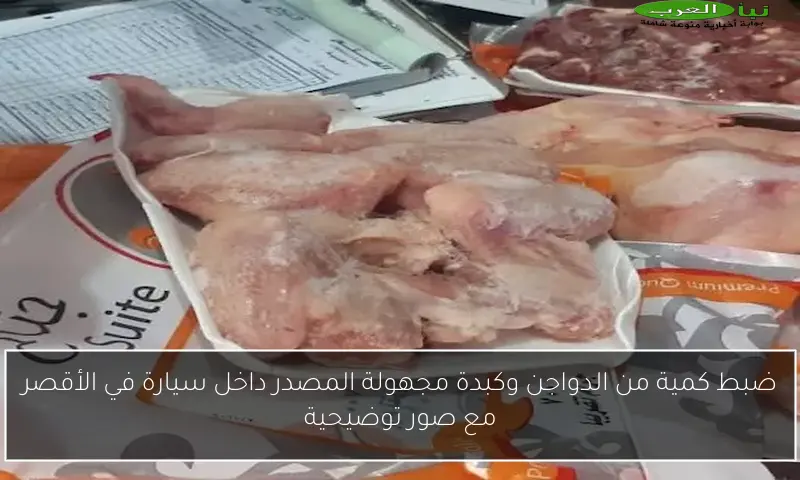 ضبط كمية من الدواجن وكبدة مجهولة المصدر داخل سيارة في الأقصر مع صور توضيحية