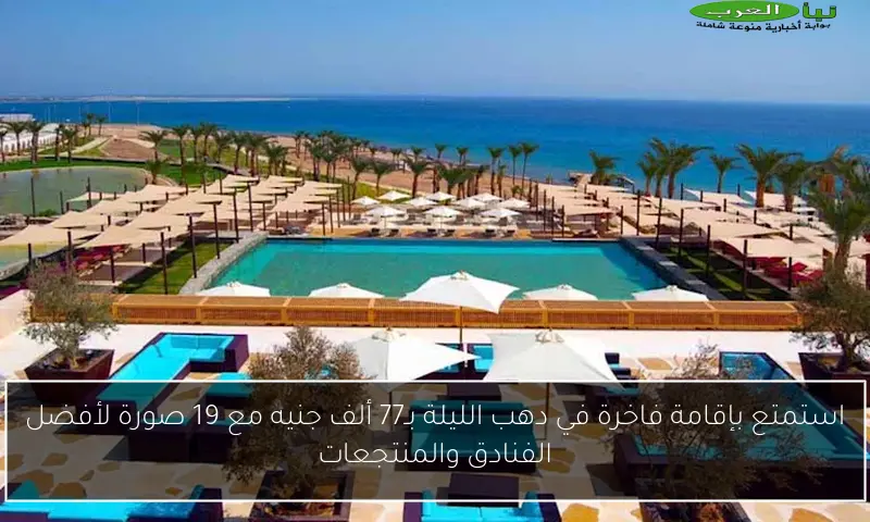 استمتع بإقامة فاخرة في دهب الليلة بـ77 ألف جنيه مع 19 صورة لأفضل الفنادق والمنتجعات
