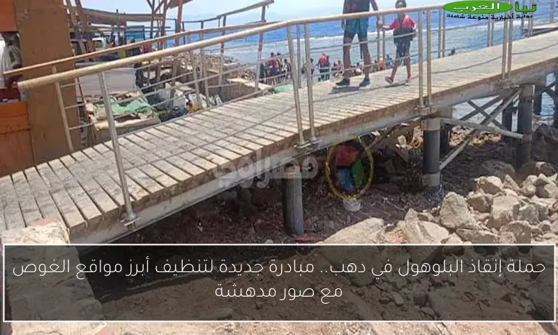 حملة إنقاذ البلوهول في دهب.. مبادرة جديدة لتنظيف أبرز مواقع الغوص مع صور مدهشة