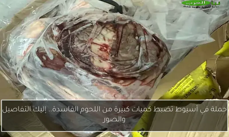 حملة في أسيوط تضبط كميات كبيرة من اللحوم الفاسدة.. إليك التفاصيل والصور