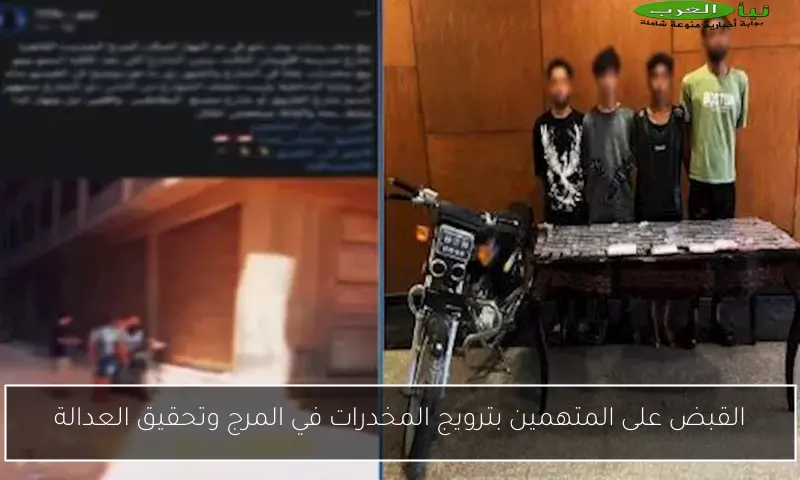 القبض على المتهمين بترويج المخدرات في المرج وتحقيق العدالة