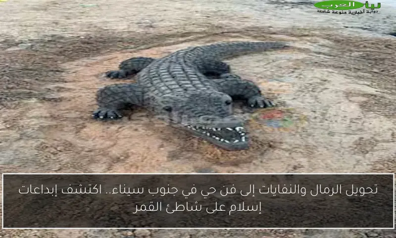 تحويل الرمال والنفايات إلى فن حي في جنوب سيناء.. اكتشف إبداعات إسلام على شاطئ القمر